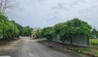 ภาพ